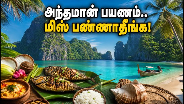 Andaman Monsoon Festival 2026: Essential Travel Tips for Chennai Tourists Andaman Monsoon Festival 2026: Essential Travel Tips for Chennai Tourists