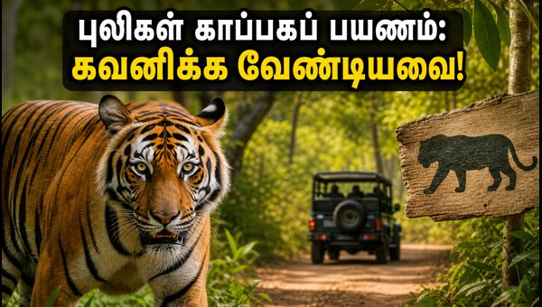 International Tiger Day: Essential Guide for Eco-Tourism in Tamil Nadu Tiger Reserves 2026
