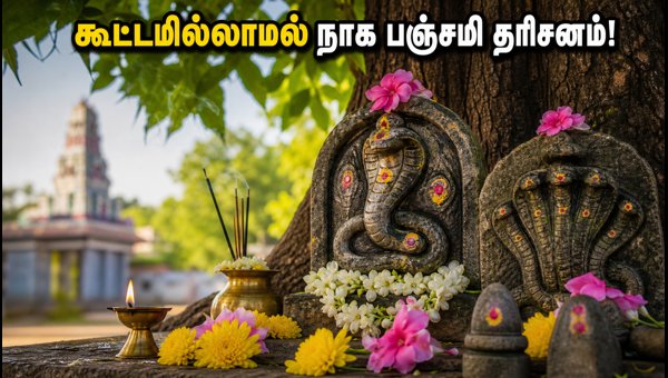 Naga Panchami 2026: Best Temples in Tamil Nadu for Peaceful Darshan and Avoiding Heavy Crowds Naga Panchami 2026: Best Temples in Tamil Nadu for Peaceful Darshan and Avoiding Heavy Crowds