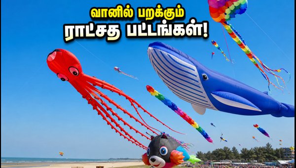 Tamil Nadu International Kite Festival 2026: Thiruvidandhai Beach Travel Guide Tamil Nadu International Kite Festival 2026: Thiruvidandhai Beach Travel Guide