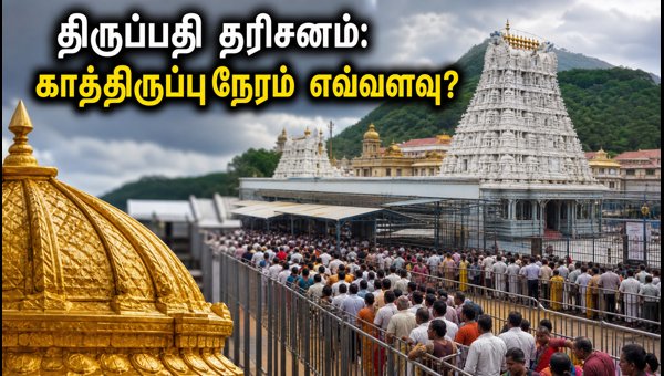 Tirumala Tirupati Crowd Status 2026: SSD Token Updates and Pavithrotsavam Schedule for Pilgrims Tirumala Tirupati Crowd Status 2026: SSD Token Updates and Pavithrotsavam Schedule for Pilgrims