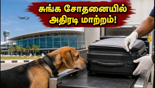 Chennai Airport Customs Alert: New Screening Rules and Travel Tips for International Passengers 2026 Chennai Airport Customs Alert: New Screening Rules and Travel Tips for International Passengers 2026