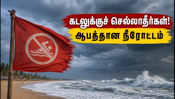 Chennai Beach Alert: IMD Issues Strong Sea Current Warning for September 4, 2026 - Safety Tips