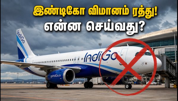 Chennai to Trichy Indigo Flight Cancelled Today: Check Status, Refunds, and Alternative Travel Options 2026 Chennai to Trichy Indigo Flight Cancelled Today: Check Status, Refunds, and Alternative Travel Options 2026