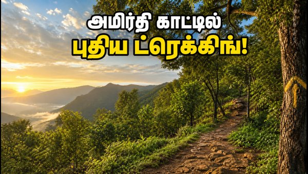 Amirthi Forest Trekking 2026: New Trails Open Near Vellore for Weekend Getaways Amirthi Forest Trekking 2026: New Trails Open Near Vellore for Weekend Getaways