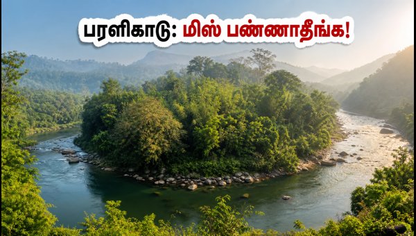 Paralikadu Eco-Tourism Coimbatore: Complete Online Booking, Timings, and Travel Guide for 2026 Paralikadu Eco-Tourism Coimbatore: Complete Online Booking, Timings, and Travel Guide for 2026