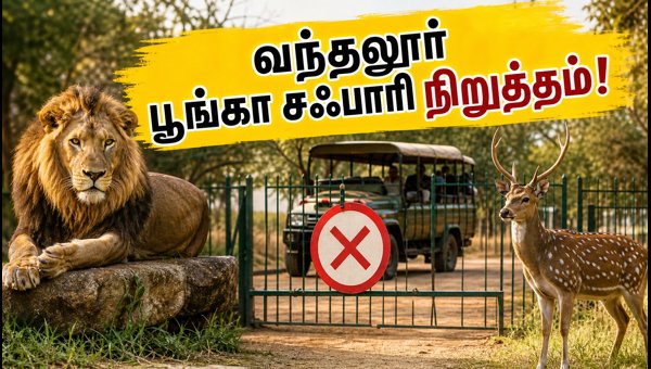 Vandalur Zoo Safari Suspended: Best Weekend Trip Alternatives in Chennai 2026