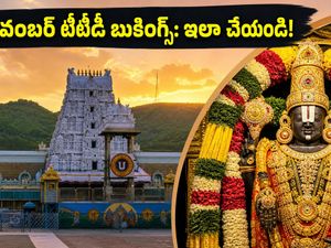 నవంబర్ టీటీడీ దర్శనం, వసతి టికెట్లు కావాలా? ఆగస్టు 24, 25న బుకింగ్స్ కోసం ఈ సీక్రెట్ టిప్స్ పాటించండి!
