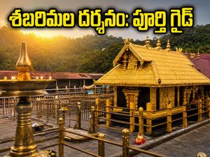 శబరిమల కన్ని మాస పూజలు: దర్శన సమయాలు, వర్చువల్ క్యూ, ట్రావెల్ టిప్స్.. భక్తులు తప్పక తెలుసుకోవాల్సిన కీలక విషయాలు!