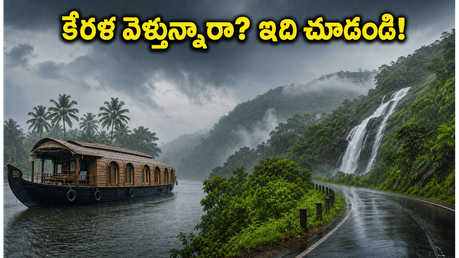 కేరళ ట్రిప్ ప్లాన్ చేస్తున్నారా? వర్షాల నేపథ్యంలో అలెప్పీ, మున్నార్, వాయనాడ్ వెళ్లే ముందు ఈ జాగ్రత్తలు తప్పనిసరి!