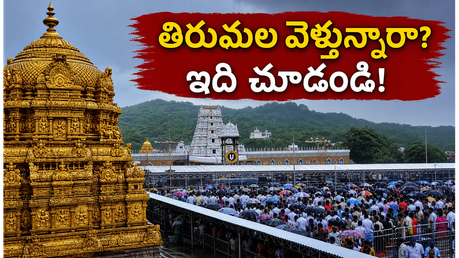 తిరుమలలో భక్తుల రద్దీ మామూలుగా లేదు.. దర్శనం కోసం వెళ్లే ముందు ఈ విషయాలు తెలుసుకోండి!