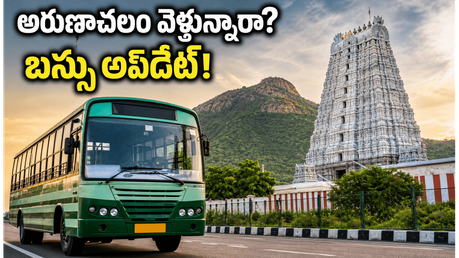 ఈ వీకెండ్ అరుణాచలం వెళ్తున్నారా? చెన్నై నుంచి స్పెషల్ బస్సులు, వర్షం అలర్ట్.. పూర్తి వివరాలు ఇవే!