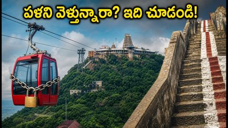 పళని వెళ్తున్నారా? రోప్ కార్ సేవలు బంద్.. ఆడి వెల్లి రద్దీలో ఇబ్బంది పడకుండా ఇలా ప్లాన్ చేసుకోండి!