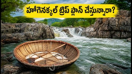 హోగెనక్కల్ ట్రిప్ ప్లాన్ చేస్తున్నారా? కొరాకిల్ సవారీలు బంద్.. ఈ ప్రత్యామ్నాయాలు ట్రై చేయండి!