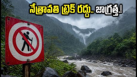 చిక్కమగళూరులో నేత్రావతి ట్రెక్ రద్దు.. వీకెండ్ ప్లాన్ చేసుకున్నారా? ఈ అప్‌డేట్ మీకోసమే!