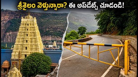 శ్రీశైలం వెళ్తున్నారా? ఫారెస్ట్ గేట్ల ఆంక్షలు, దర్శనం టైమింగ్స్.. ప్రయాణానికి ముందు ఈ అప్‌డేట్స్ తప్పనిసరి!