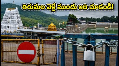 తిరుమల గరుడ పంచమి అలర్ట్.. దర్శనం, క్యూలైన్లు, ట్రాఫిక్ ఆంక్షలపై లేటెస్ట్ అప్‌డేట్స్ ఇవే!