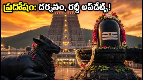 తిరువణ్ణామలై ప్రదోషం: ఈరోజు రద్దీ ఎలా ఉంది? దర్శనం, ట్రావెల్ టిప్స్ కోసం ఈ గైడ్ చూడండి!