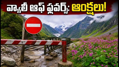 వ్యాలీ ఆఫ్ ఫ్లవర్స్ ట్రిప్ ప్లాన్ చేస్తున్నారా? భారీ వర్షాలతో ఆంక్షలు.. పర్యాటకులు ఏం చేయాలి?