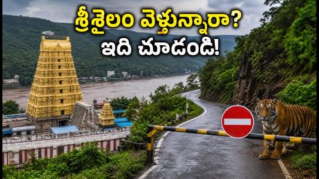 శ్రీశైలం వెళ్తున్నారా? చెక్ పోస్ట్ టైమింగ్స్, రూట్ మ్యాప్, దర్శనం కోసం ఈ టిప్స్ తప్పనిసరి!