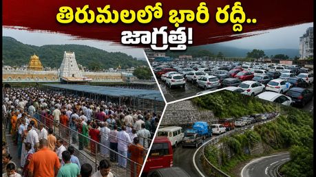 రేపు గోకులాష్టమి.. తిరుమలలో భక్తుల రద్దీ భారీగా పెరిగింది! దర్శనం, టోకెన్ల కోసం ఈ జాగ్రత్తలు తప్పనిసరి