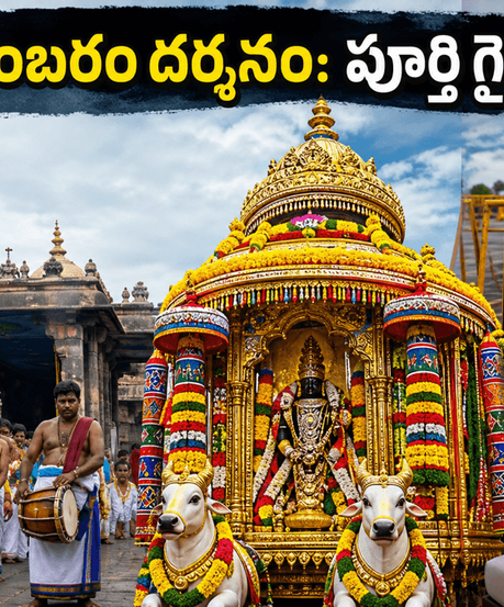 చిదంబరం ఆని తిరుమంజనం: నటరాజ స్వామి రథోత్సవం, దర్శనం, ట్రావెల్ టిప్స్ - భక్తులు మిస్ అవ్వకూడని పూర్తి గైడ్!