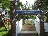 వేదంతంగల్ ఒక పురాతన పక్షి అభయారణ్యం !