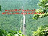 ఏపీలో ఊగే రైలు వంతెన ఎక్కడుందో తెలుసా ? 
