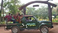 తెరుచుకున్న న‌ల్ల‌మ‌ల్ల బైర్లుట్టి జంగిల్ స‌ఫారీ...మీరు సిద్ధమేనా..?