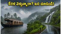 కేరళ ట్రిప్ ప్లాన్ చేస్తున్నారా? వర్షాల నేపథ్యంలో అలెప్పీ, మున్నార్, వాయనాడ్ వెళ్లే ముందు ఈ జాగ్రత్తలు తప్పనిసరి!
