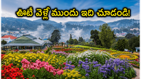 ఊటీ ఫ్లవర్ షోకు వెళ్తున్నారా? ఈ-పాస్, ట్రాఫిక్ రూల్స్ తెలియకపోతే మీ ట్రిప్ పాడవ్వడం ఖాయం!