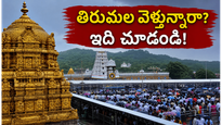 తిరుమలలో భక్తుల రద్దీ మామూలుగా లేదు.. దర్శనం కోసం వెళ్లే ముందు ఈ విషయాలు తెలుసుకోండి!