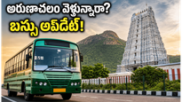 ఈ వీకెండ్ అరుణాచలం వెళ్తున్నారా? చెన్నై నుంచి స్పెషల్ బస్సులు, వర్షం అలర్ట్.. పూర్తి వివరాలు ఇవే!