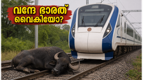 ഹൈദരാബാദ്-ബെംഗളൂരു വന്ദേ ഭാരത് അപകടത്തിൽ; ട്രെയിൻ വൈകിയോ? യാത്രക്കാർ അറിയേണ്ട നിർണ്ണായക വിവരങ്ങൾ ഇതാ!