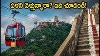 పళని వెళ్తున్నారా? రోప్ కార్ సేవలు బంద్.. ఆడి వెల్లి రద్దీలో ఇబ్బంది పడకుండా ఇలా ప్లాన్ చేసుకోండి!