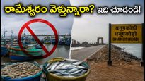 రామేశ్వరం వెళ్తున్నారా? మత్స్యకారుల సమ్మెతో పర్యాటకుల ప్లాన్ మారుతుందా? పూర్తి వివరాలు ఇవే!