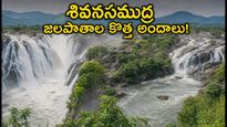 కావేరీ ఉధృతితో శివనసముద్ర జలపాతాల కొత్త అందాలు.. ఈ వీకెండ్ వెళ్లేవారు ఈ జాగ్రత్తలు తప్పనిసరి!