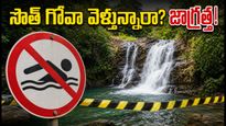 సౌత్ గోవా ట్రిప్ ప్లాన్ చేస్తున్నారా? జలపాతాల్లో ఈత కొడితే భారీ జరిమానా.. 60 రోజుల పాటు కఠిన ఆంక్షలు!