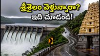 శ్రీశైలం వెళ్తున్నారా? వర్షాలు, ఫారెస్ట్ గేట్ టైమింగ్స్, దర్శనం వేళలు.. ప్రయాణానికి ముందు ఈ అప్‌డేట్స్ తప్పక చూడండి!