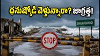 ధనుష్కోడి వెళ్తున్నారా? సముద్ర అలల హెచ్చరికలు, రామనాథస్వామి దర్శనం.. ప్రయాణానికి ముందు ఈ జాగ్రత్తలు తప్పనిసరి!