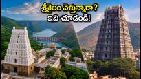 ఆగస్టు లాంగ్ వీకెండ్: శ్రీశైలం, అరుణాచలం వెళ్తున్నారా? ఈ ట్రావెల్ టిప్స్ మిస్ అవ్వకండి!