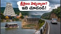 ఈ ఆదివారం శ్రీశైలం వెళ్తున్నారా? దర్శనం వేళలు, రోప్‌వే, చెక్ పోస్ట్ రూల్స్.. ప్లాన్ చేసుకునే ముందు ఇది చదవండి!