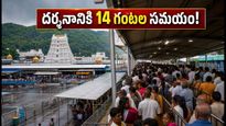 తిరుమలలో భక్తుల రద్దీ.. శ్రీవారి దర్శనానికి 14 గంటల సమయం, వెళ్లే ముందు ఇది తప్పక చూడండి!