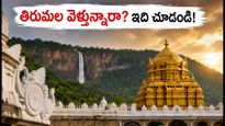 తిరుమలలో భారీగా పెరిగిన భక్తుల రద్దీ.. దర్శనం కోసం వెళ్లే ముందు ఈ విషయాలు తప్పక తెలుసుకోండి!