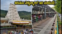 తిరుమల యాత్రకు వెళ్తున్నారా? రద్దీ, దర్శనం, కొత్త నిబంధనలపై లేటెస్ట్ అప్‌డేట్స్ ఇవే!
