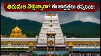 తిరుమలలో పౌర్ణమి రద్దీ.. దర్శనం, టోకెన్లు, వర్షాల నేపథ్యంలో భక్తులకు టీటీడీ కీలక సూచనలు!