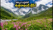 వ్యాలీ ఆఫ్ ఫ్లవర్స్ అందాలను చూడాలా? తక్కువ బడ్జెట్‌లో ఉత్తరాఖండ్ ట్రిప్ ప్లాన్ ఇలా చేయండి!