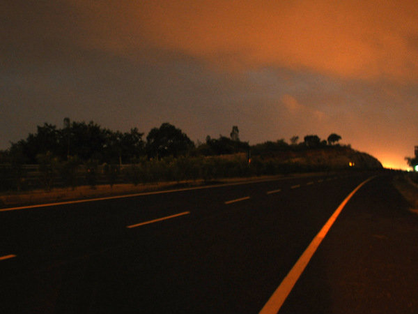 అరణ్యాలలో సాహస పర్యటన 