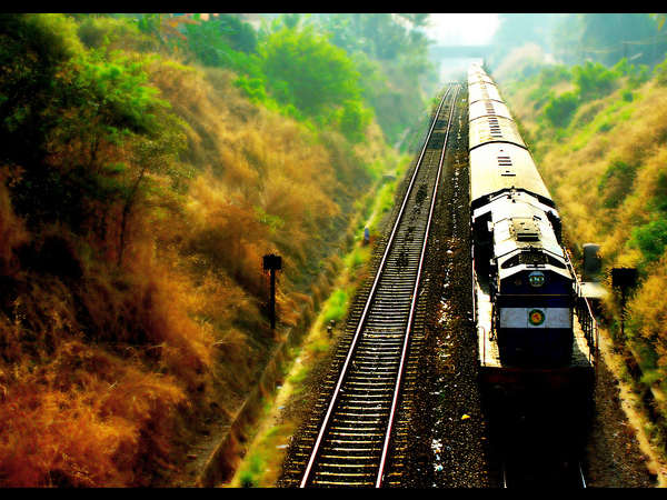 పచ్చటి బాటలో పగటి ప్రయాణం ! 