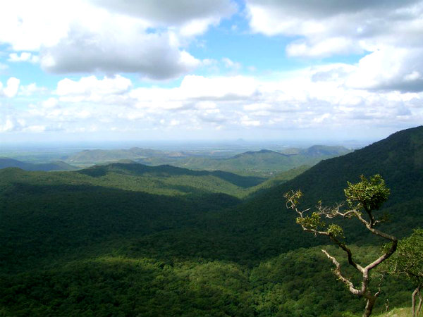 టూర్ ప్రోగ్రాం హైదరాబాద్ - కూర్గ్ - ఊటీ - మైసూరు - హైదరాబాద్ 